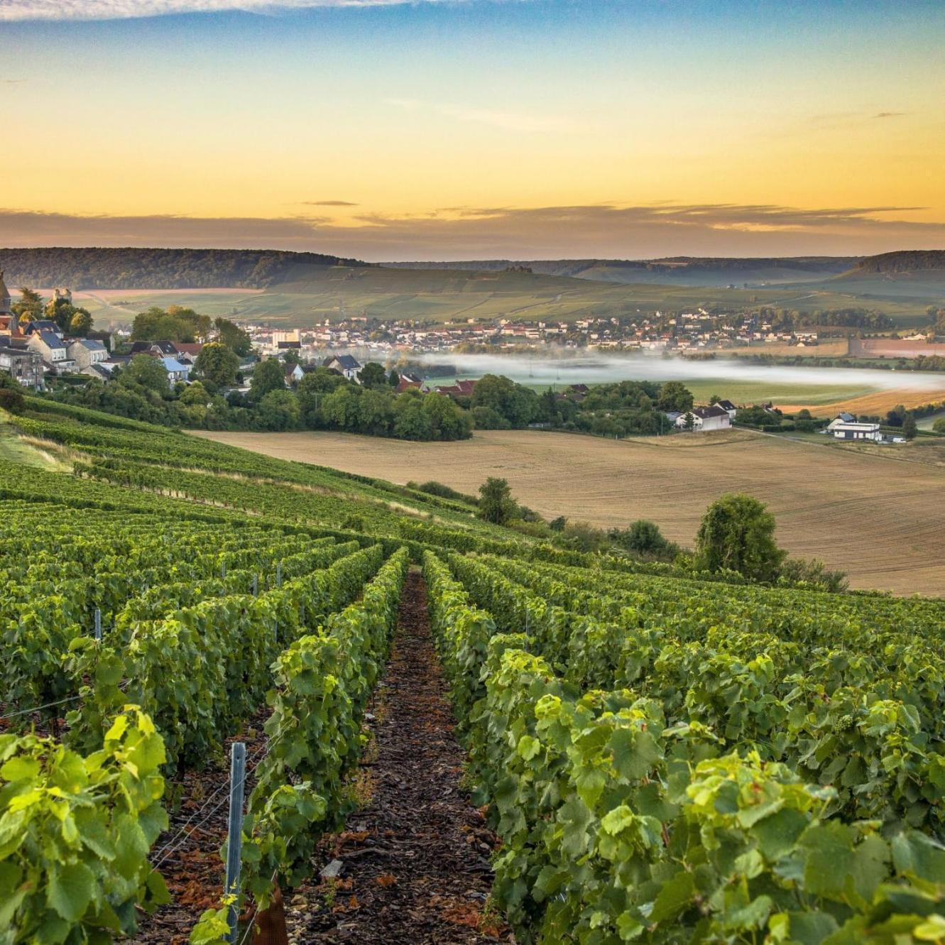 Apartamento Les Bulles De Bonheur - Au Coeur Du Vignoble Champenois Chouilly Exterior foto